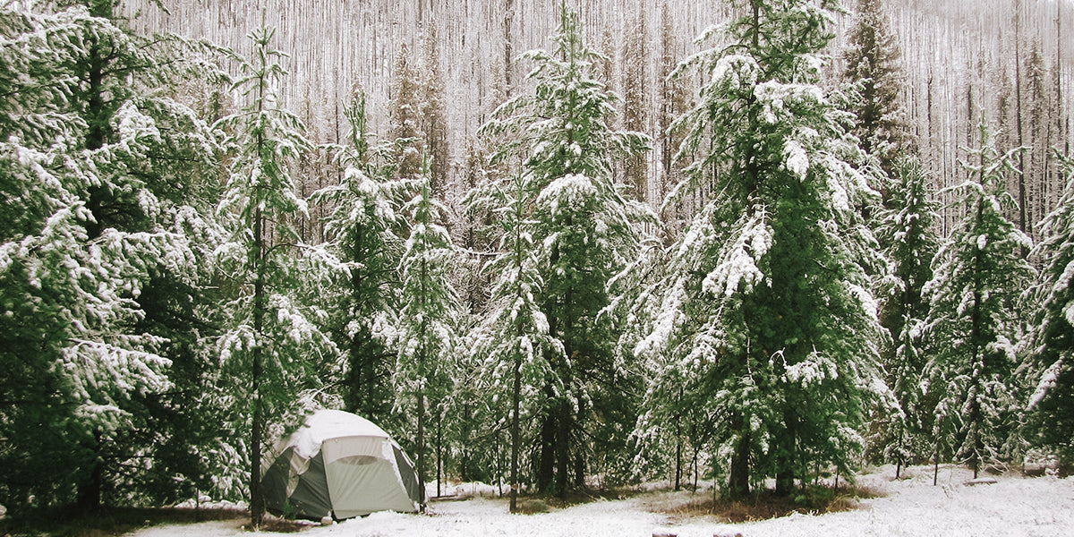 Surviving the Deep Freeze