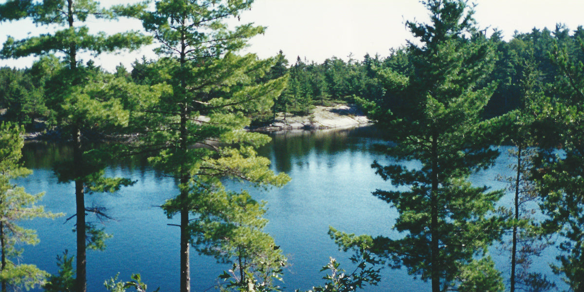 Dreaming about a fishing trip getaway?