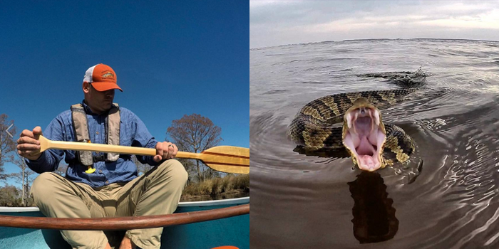 Just When You Thought It Was Safe to Go Back in the Water...