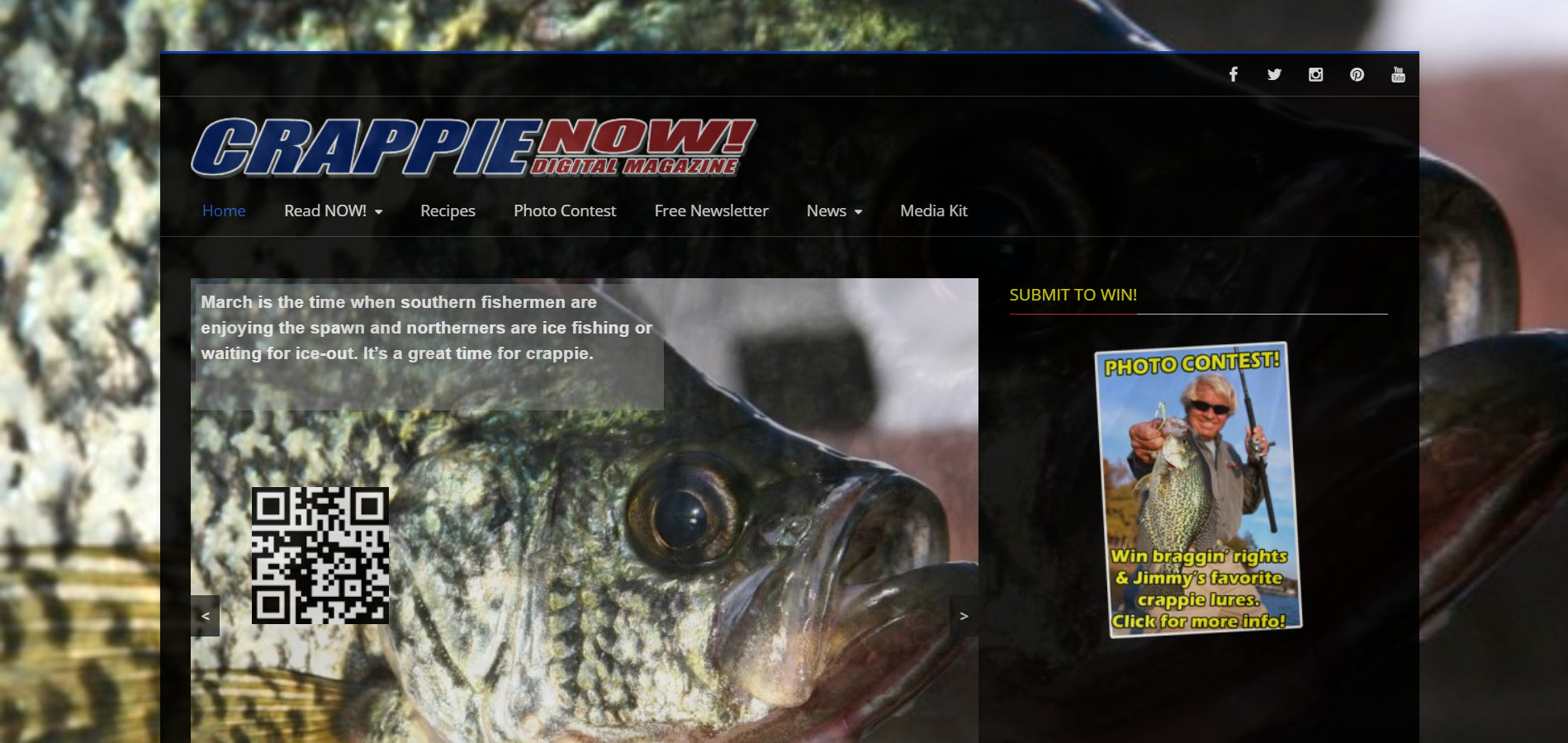 Crappie Now! - The Ultimate Hybrid