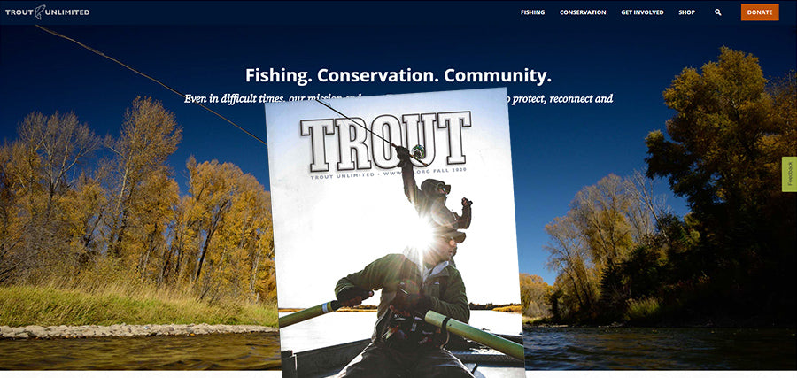 TROUT Magazine - The Ultimate Hybrid II