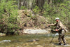 Fly Fishing for Brook Trout in Virginia